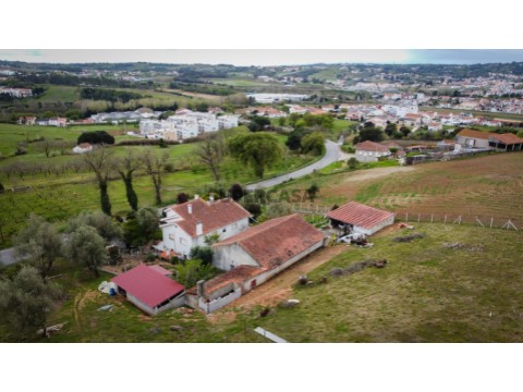 DJI_0430 (Medium)