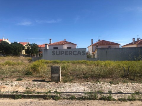 Terreno 1