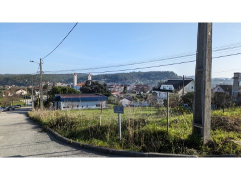 PXL_20240201_100815019