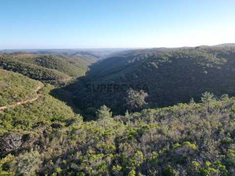 DJI_0802