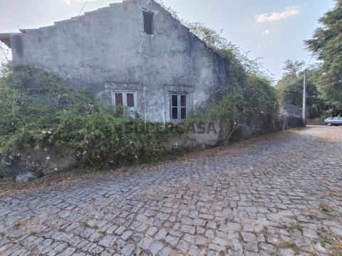 IMG20250710170344