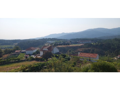 IMG-20250921-WA0026