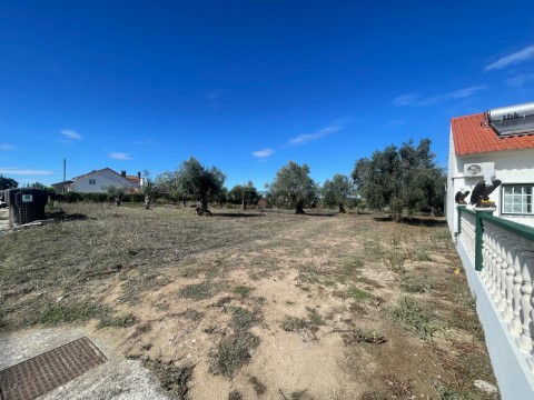 Terreno