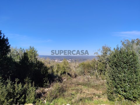 IMG20251126112316