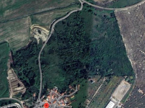 Captura de ecrã 2025-05-08 184717