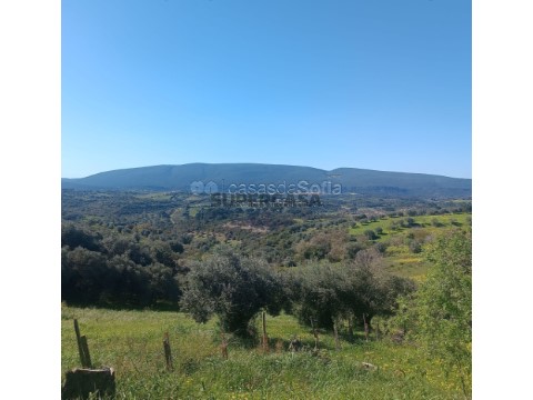 vista