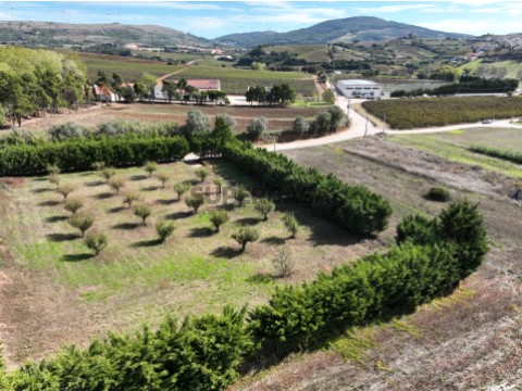 terreno_urbano_Turcifal_Torres_Vedras_Rute_Ferreira_Imobiliaria_Lda (3)