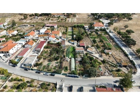 Terreno em Gâmbia-Pontes-Alto Guerra, Setúbal