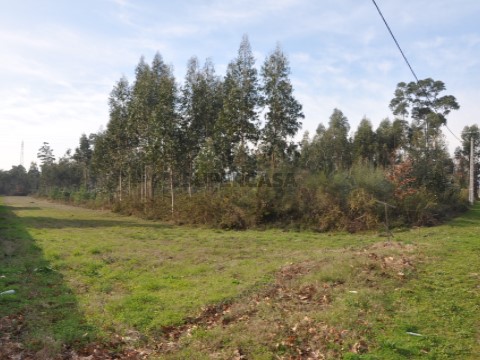 Terreno para construção, Gandra e Taião, Valença, terreno