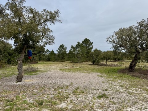 Terreno em Quinta do Conde, Sesimbra