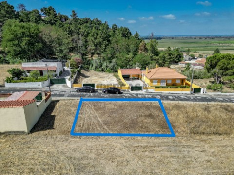 Terreno em Chamusca e Pinheiro Grande, Chamusca