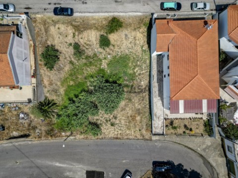 Terreno em Chamusca e Pinheiro Grande, Chamusca