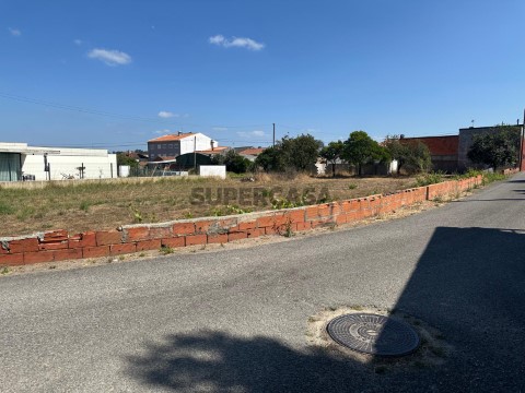 Terreno