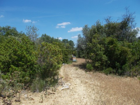 Terreno 3