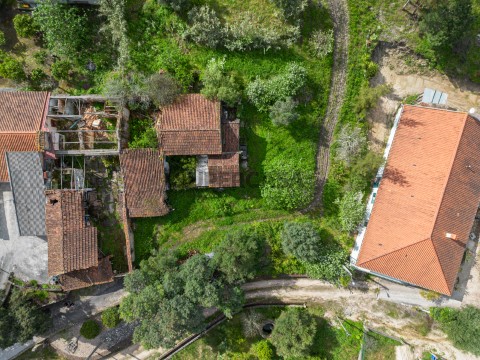 DJI_0727