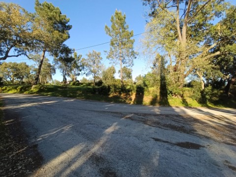 Terreno Rústico em Torres Novas (Santa Maria, Salvador e Santiago), Torres Novas