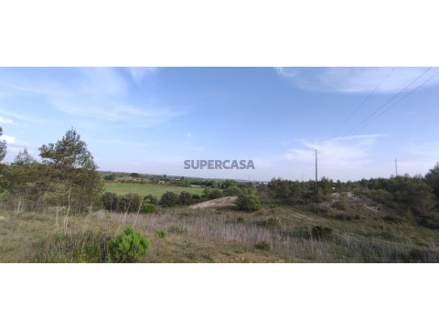 Terreno agrícola com viabilidade para projecto energético