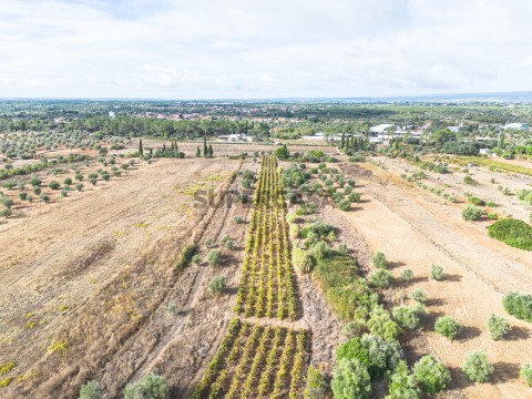 Terreno-4