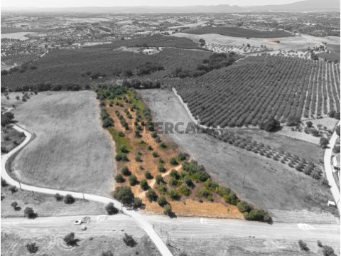 Terreno