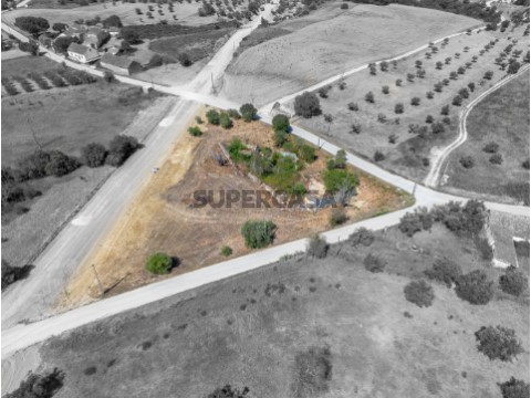 Terreno
