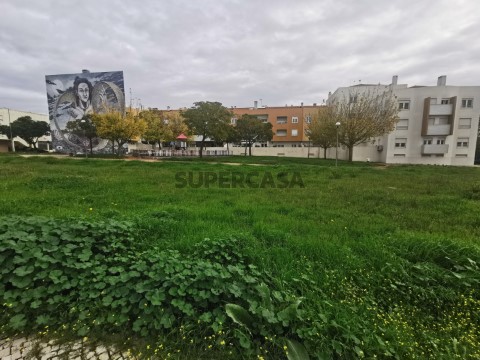 Terreno