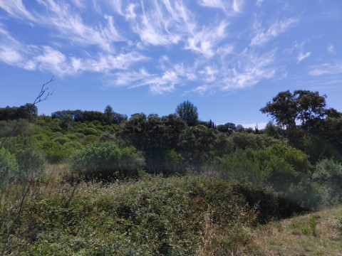 Terreno