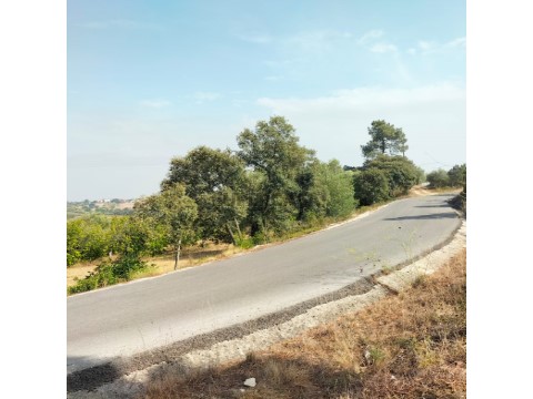 Terreno