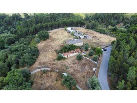 Quinta