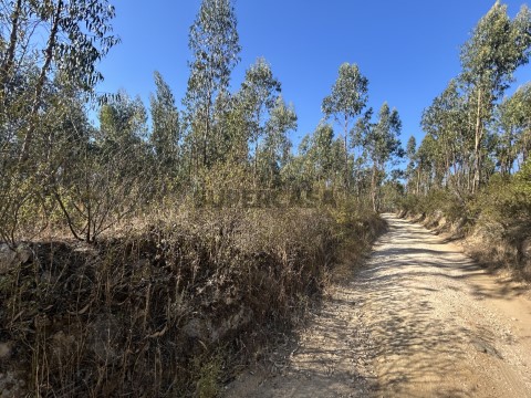 Acesso terreno