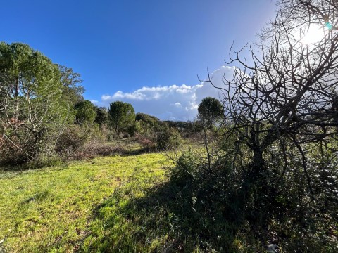 Terreno