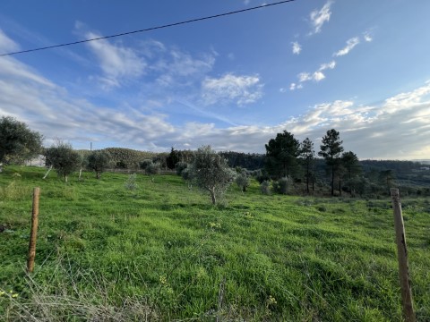 Terreno