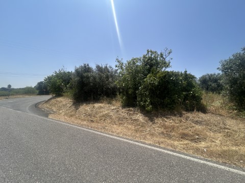 Terreno