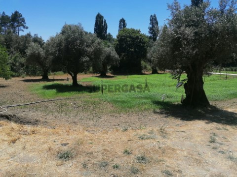 Terreno