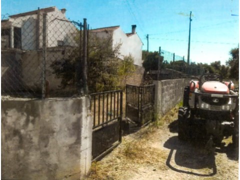Lateral