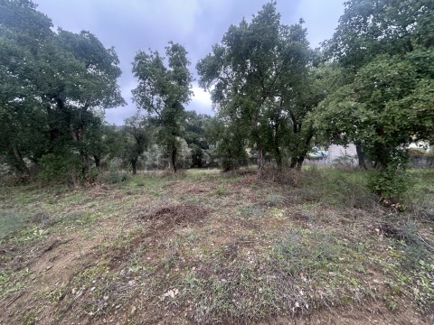 Terreno