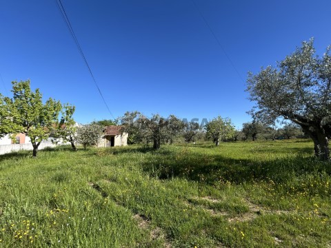 Terreno