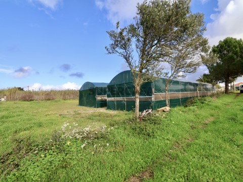TERRENO AGRÍCOLA 6410m2