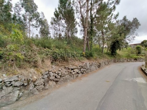 Terreno Urbano na Rua do Vale, Milhazes, Vilar de Figos e Faria