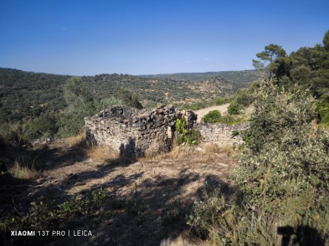 house ruins