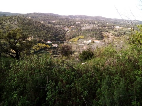 Terreno/Vista