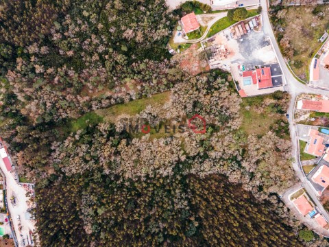 Terreno em Aljubarrota, Alcobaça