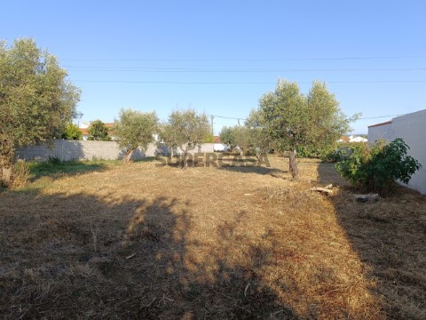 Terreno em Abrantes (São Vicente e São João) e Alferrarede, Abrantes