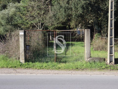 Terreno em Abrantes (São Vicente e São João) e Alferrarede, Abrantes