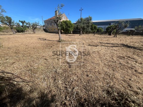 Terreno