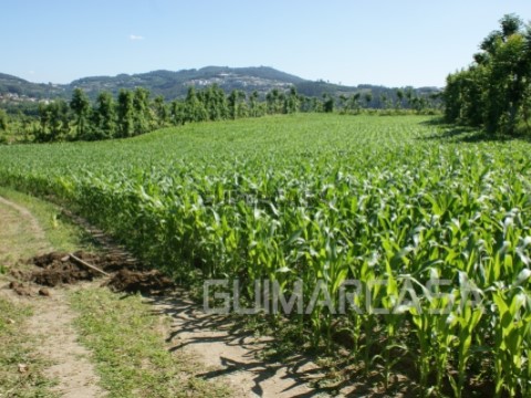 Terreno em São Torcato, Guimarães