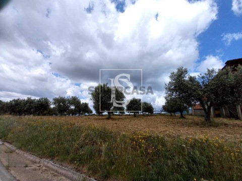 Terreno em Macedo de Cavaleiros, Macedo de Cavaleiros