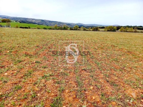 Terreno em Baçal, Bragança