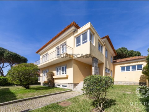 Vista frontal