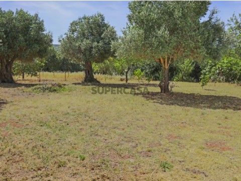 Vende se - Terreno - Alte - Vilamoura - Hometown Properties