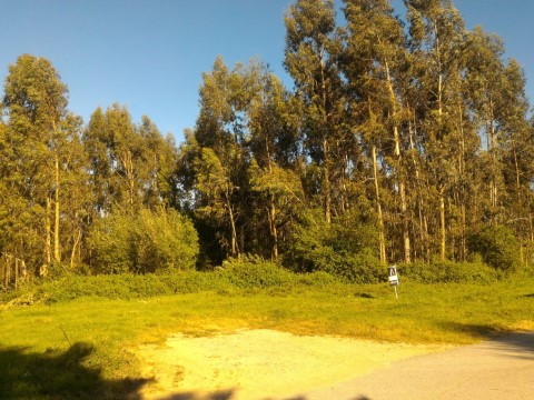 Terreno
